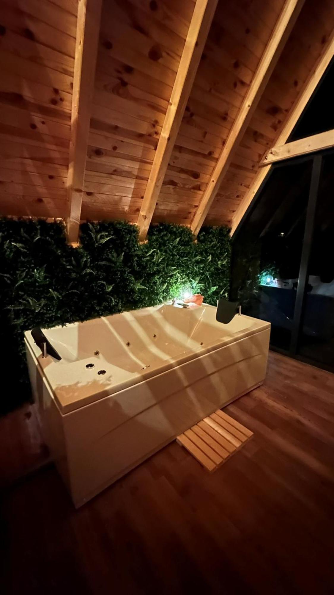 Villa Wellness Borealis *